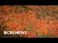 Stunning fall foliage captured in Utah: &quot;Like a bowl of candy corn&quot;