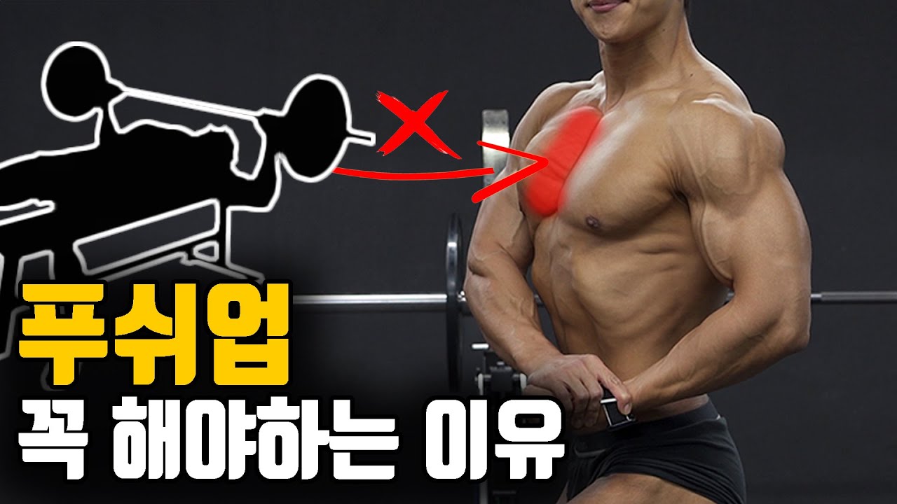 ‘고중량 벤치프레스’를 계속해도 가슴근육이 작은 이유