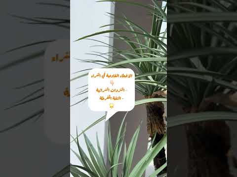 الأخطاء الفادحة في الادخار والاستثمار انتبه قد تفشل