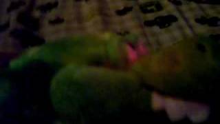 Webkinz skits 2
