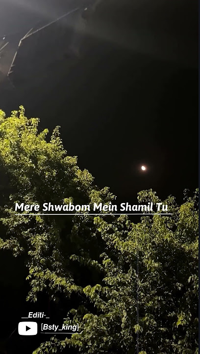 Mere Gunaho Main Mere Sawabon Main SHAMIL TU ' Sad _Status Video💘