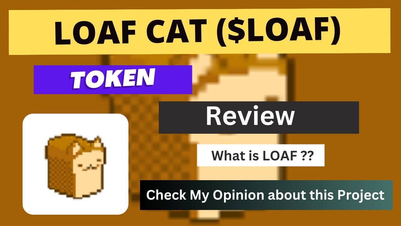 What is LOAF CAT (LOAF) Coin Review About LOAF Token YouTube