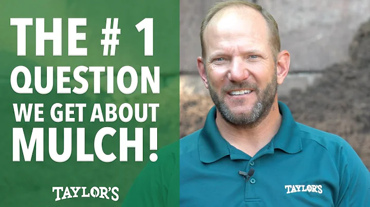 What is longest lasting mulch? (2023)