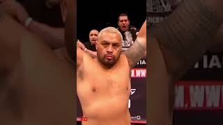 Stefan Struve vs Mark Hunt, highlights #ufc #knockouts #markhunt #mma