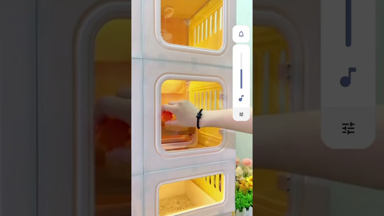 sigma girl made for cat house 