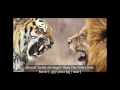 New Discovery:Tiger vs lion fight, Who would win?