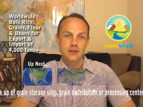 purchase-bulk-white-rice-for-import,-white-rice-importing,-white-rice-importers,-rice-importer