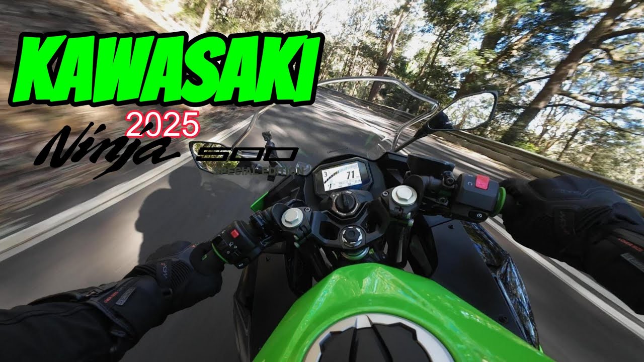 2025 Kawasaki Ninja 500 POV Royal National Park