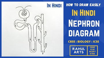 How to draw Nephron Diagram in Easy Steps | Biology | Science | CBSE syllabus | NCERT class 10
