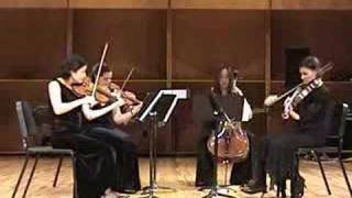 Pannonia Boundless by Aleksandra Vrebalov; Pangea String Quartet