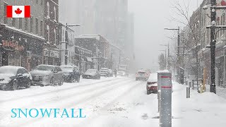 Heavy SNOWFALL - Arctic Air brings Lake-Effect Snow to Barrie Ontario Canada Weather | 4K snow video