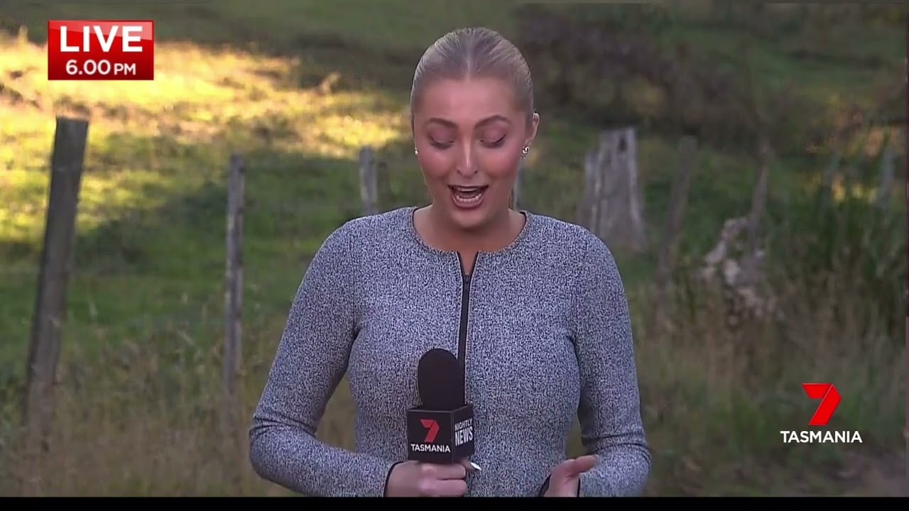 7 Tasmania Nightly News: lead story 25/3/22