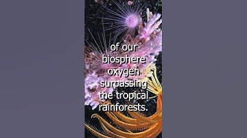 "Oceanic Secrets: The Astonishing Truth About Earth