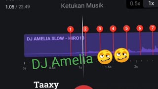 DJ Amelia 🥴🥴||Story Wa 30 Detik🎵🎶