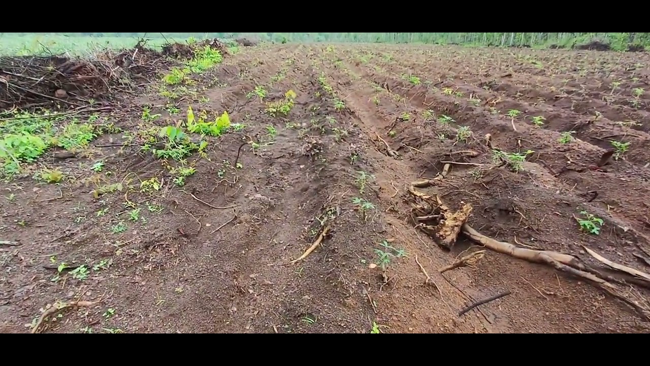 28 พฤษภาคม ค.ศ. 2025