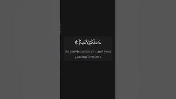 #القرآن_الكريم #quran سورة النازعات | الجزء الثالث من المقطع