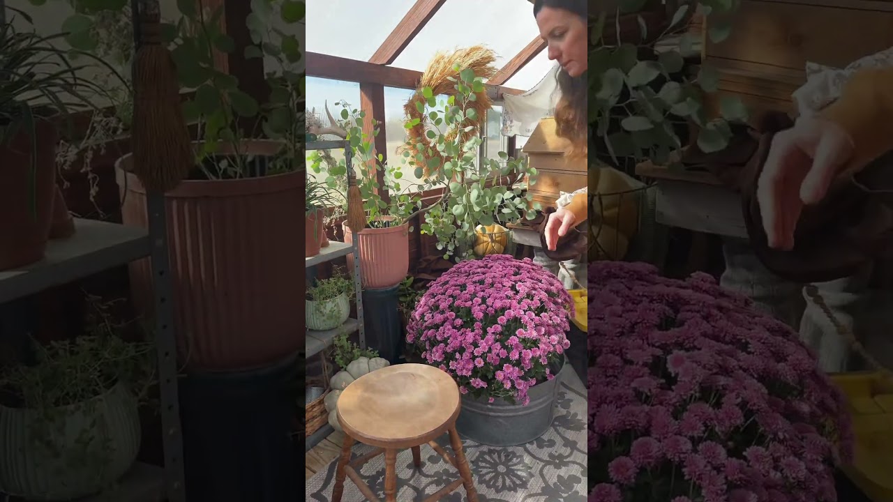 Grow all Winter with NO HEAT!  