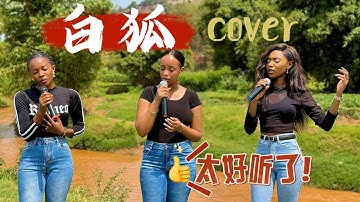 非洲美女翻唱的（白狐） 实在是太好听了 Bai Hu Cover 【能不能为你再跳一支舞，我是你千百年前放生的白狐】