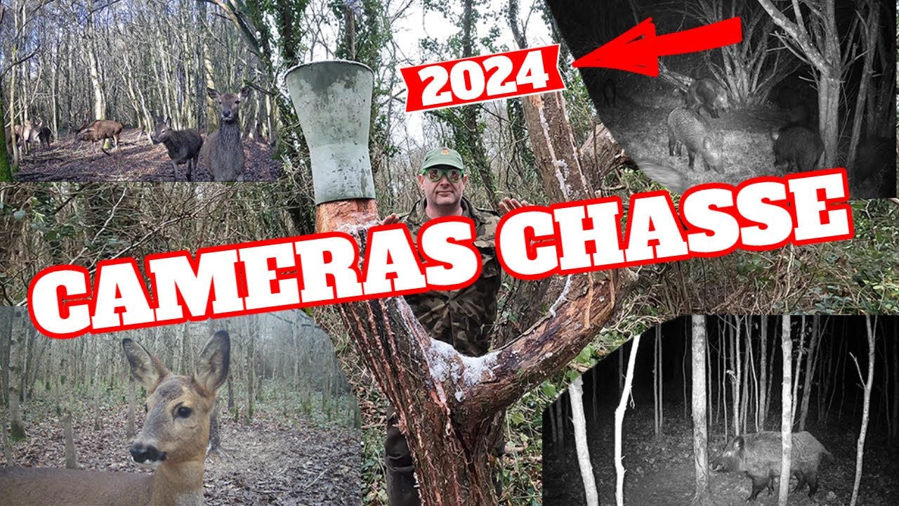 CAMERA CHASSE 👀▬👀 TOP TRAIL CAM POUR 2024 !