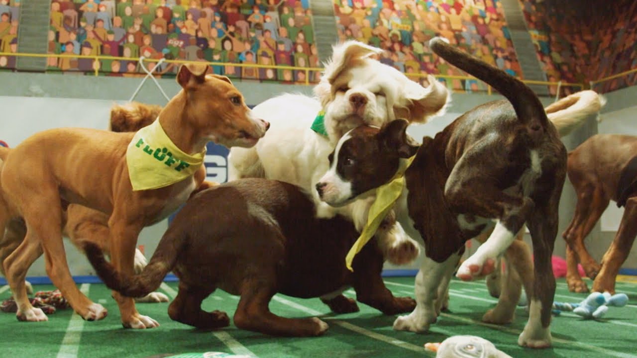 Power Puppies | Puppy Bowl - YouTube