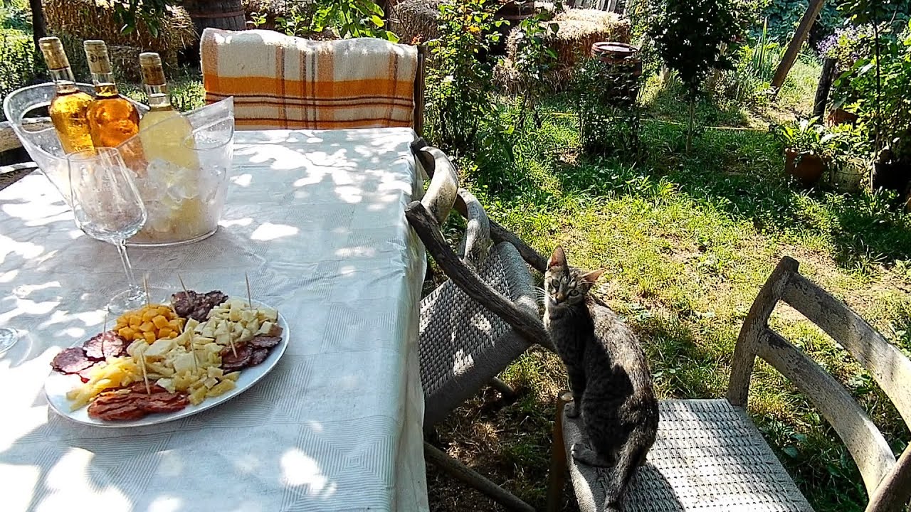 Jugrestan Winery, Carei – enjoy wine tasting and explore history in Romania’s Maramureș wine region!