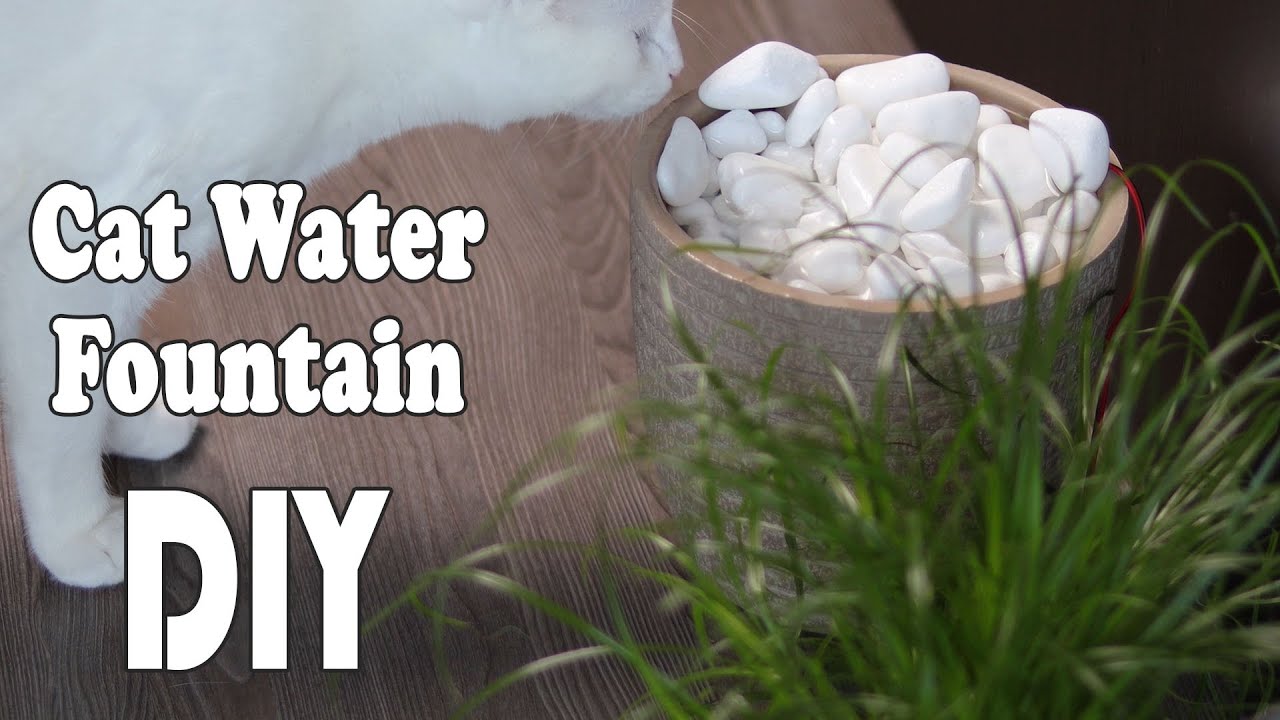 DIY Water Fountain for Cats YouTube