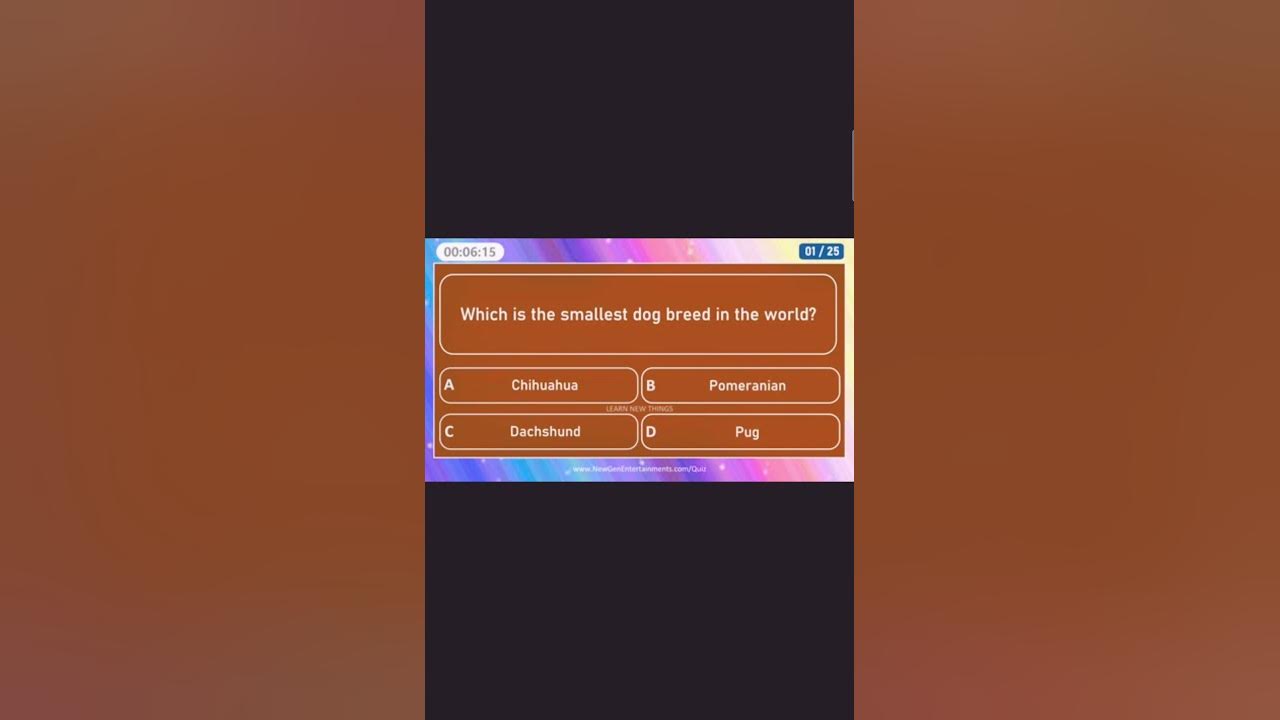 ANIMAL SUPERLATIVES QUIZ YouTube