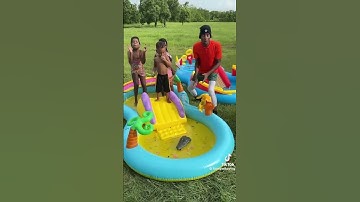 Dad finds alligator in kids pool and gets it out #funnymike #shorts