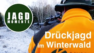 Drückjagd im Winterwald | JagdMomente
