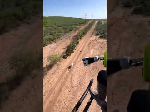 شاهد طريقة صيد الغزلان مت الطائرة بالشبك