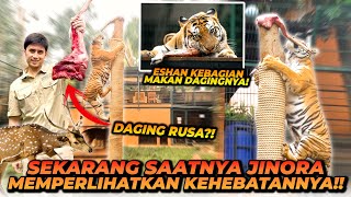 ESHAN & JINORA MAKAN DAGING RUSA ?!  MANJAT BATANG POHON 5 METER !!