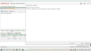 How to Insert Single & Multiple Rows (Data) in Oracle DB 🙄 | Oracle_10g | SAWANT INFOTECH ❤️