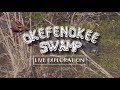 Okefenokee Swamp Live Exploration - Full Episode