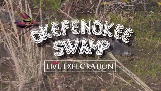 Okefenokee Swamp Live Exploration  Full Episode
