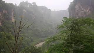 Wonderful sleep Sounds of the forest, birds, by the river, under the cliffs @Java #asmr