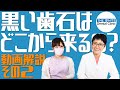 動画解説【その２】「黒い歯石はどこから来るの？」細菌の住みやすい環境など歯科医師が解説[真っ黒な歯石を除去]