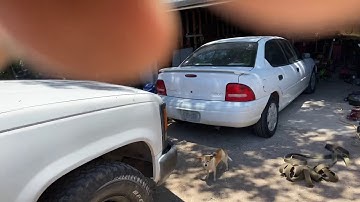 Starting your own mobile mechanic business