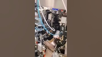 Amazing automated chick sorting machine#automation #robots #engineering #chickens