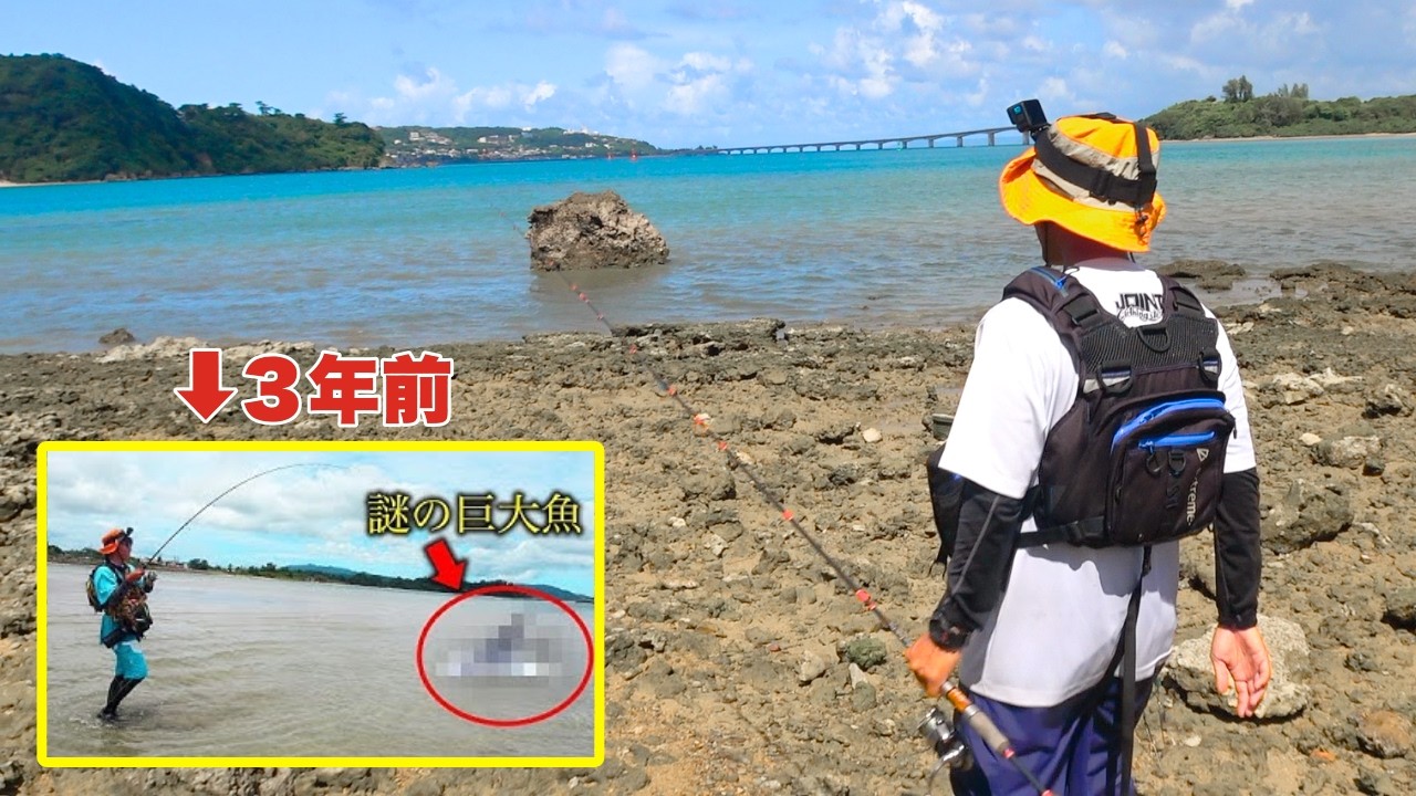 "謎の巨大魚"が潜む海に３年ぶりにやってきました！