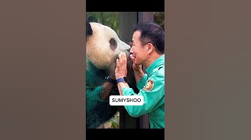 It touched my heart and crying a little bit because they must have a very special bond.#shorts #love