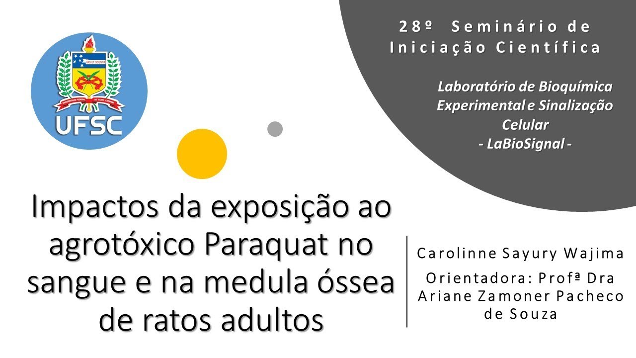 como aumentar o numero de leucocitos no sangue