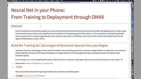 Deploying and Running a Neural Network on Your Phone