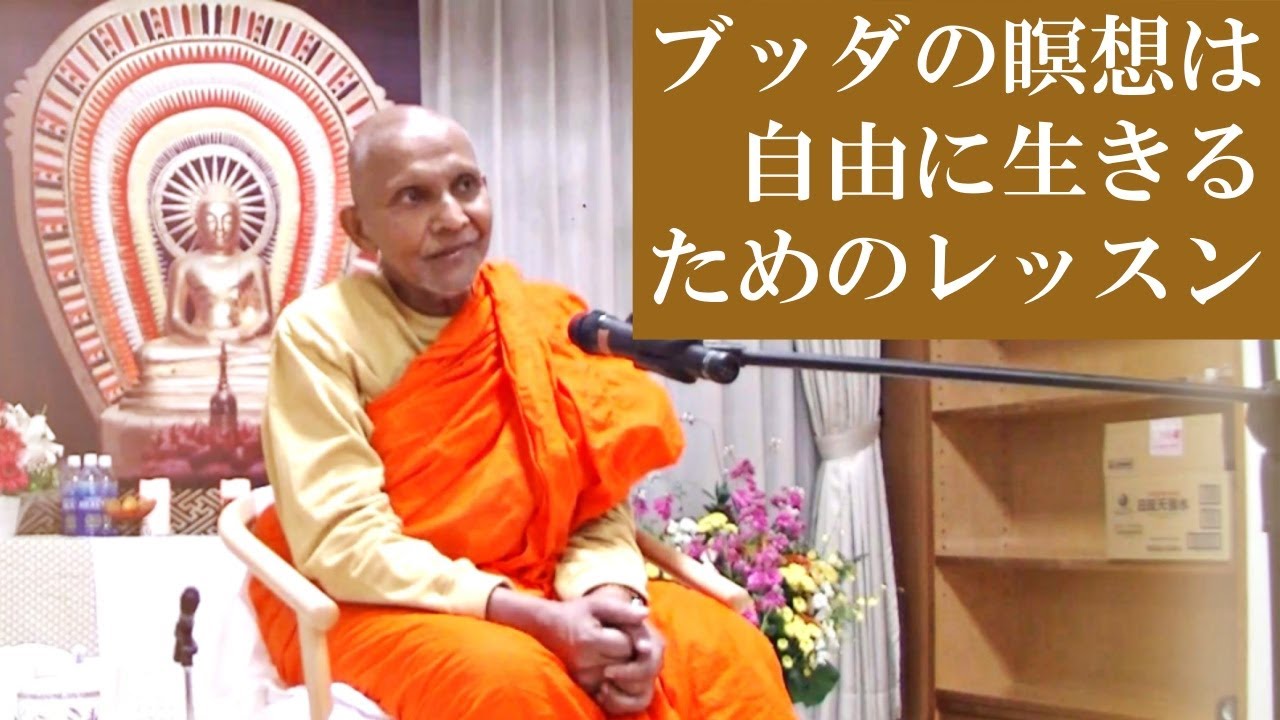 ブッダの瞑想は自由に生きるためのレッスン｜スマナサーラ長老の初期仏教法話とQ&A 瞑想合宿編（25 Nov 2025 誓教寺仏道実践会） #jtba #仏教 #ヴィパッサナー瞑想