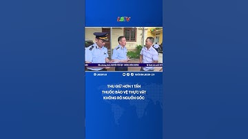 THU GIỮ HƠN 1 TẤN THUỐC BẢO VỆ THỰC VẬT KHÔNG RÕ NGUỒN GỐC | LSTV