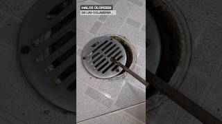 Malos olores en el baño   #plomeria #hazlotumismo #tips #baño #sanitario #tiktok #federalplumbing
