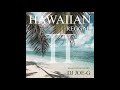 Hawaiian reggae  2 dj joeg