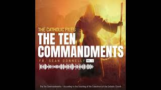The 10 Commandments with Fr. Sean Donnelly - The Eighth Commandment