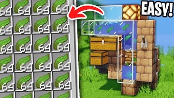 AFK Kelp Farm in Minecraft Java 1.21! (6000+ per hour)