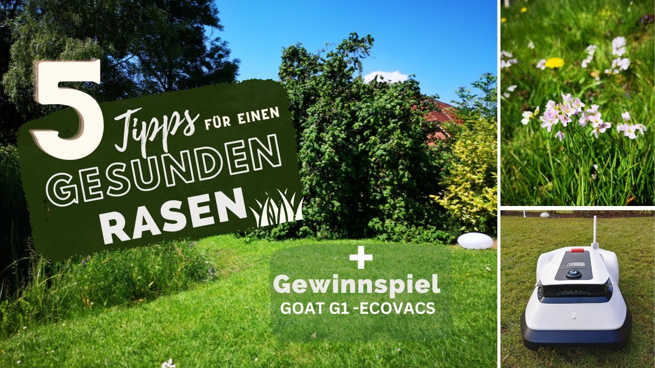 Rasenpflege Tipps & Rasenmhroboter GOAT G1 in unserem Garten