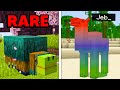 Jai bris les mythes de minecraft 120